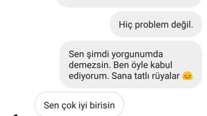 Sizce ne demek istedi?