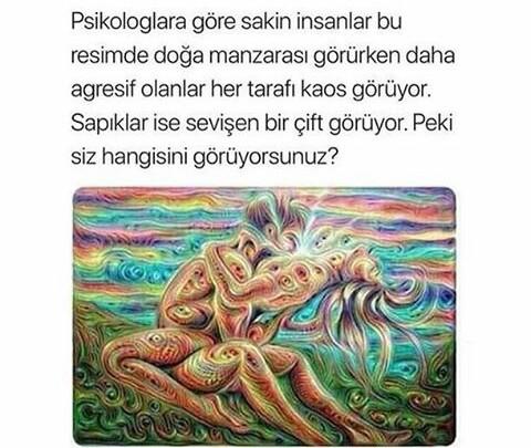Siz bu resimde ne görüyorsunuz gençler??