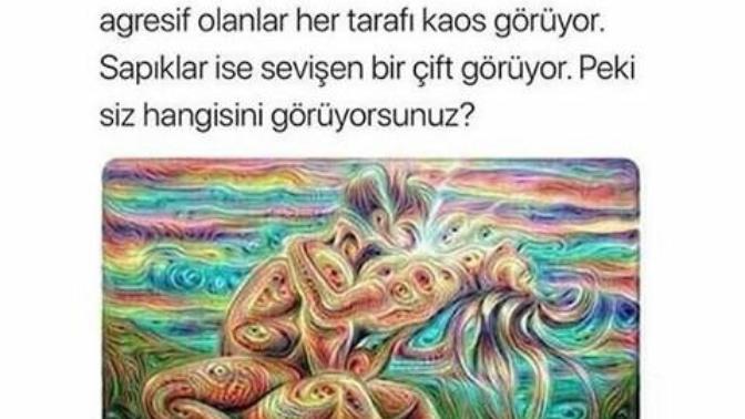 Siz bu resimde ne görüyorsunuz gençler?
