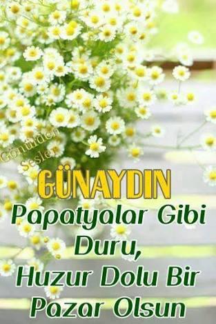 Günaydın iyi pazarlar herkese benden +1 dedikten sonra sorum şu genelde pazar günleri ne yaparsınız nasıl geçer?