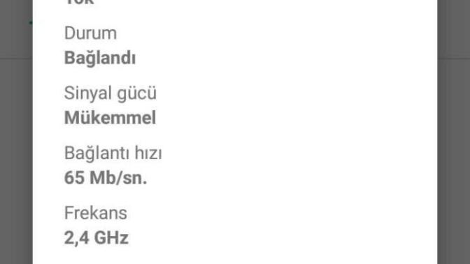 65mb/sn iyi bir wifi hızımı?