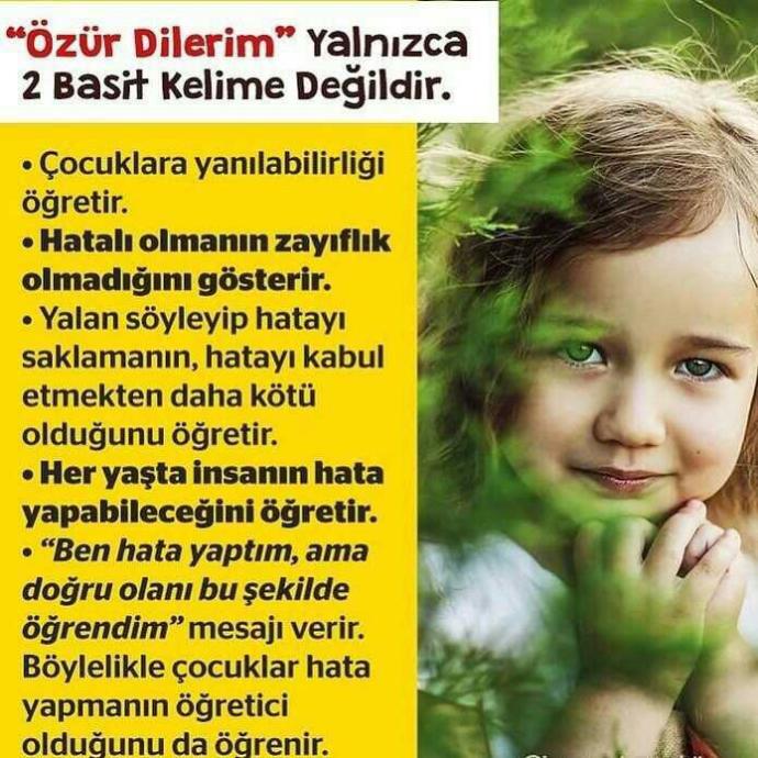 Özür dilerim demek??