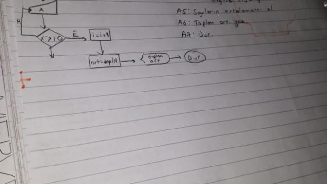 Algoritma ve akış şeması hakkında soru?