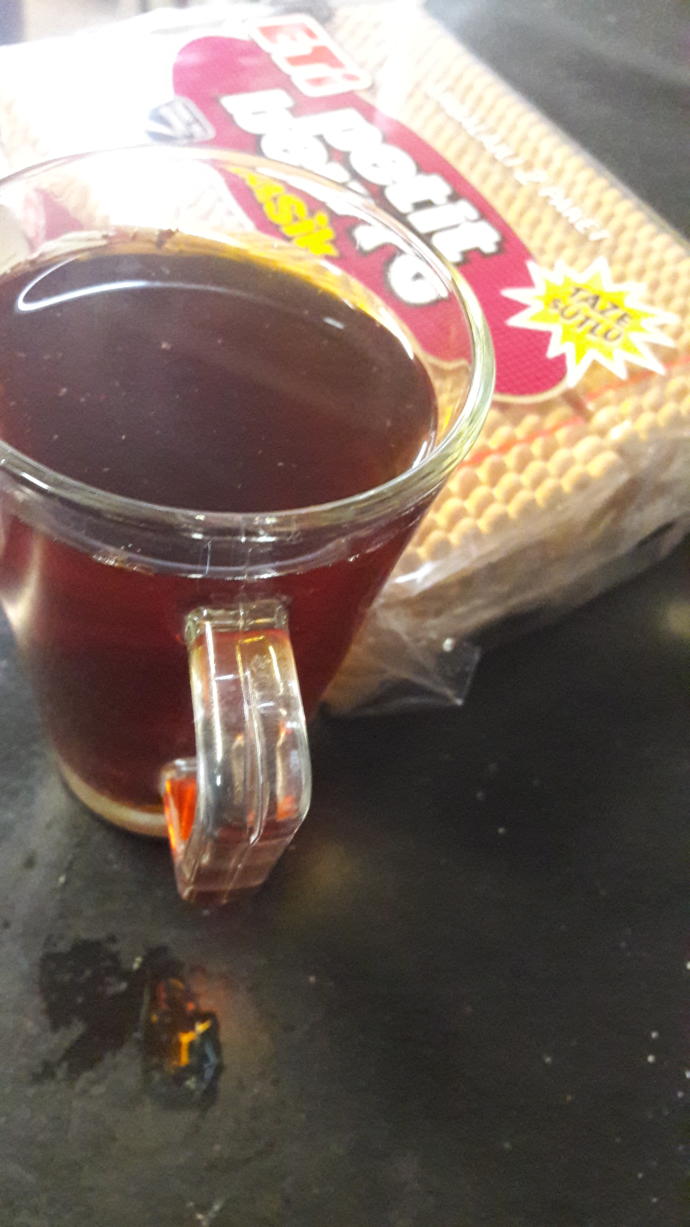 Çayına petibör bisküvi batıran erkek mi, biscolata erkeği mi?