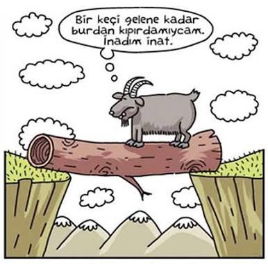 Çok inatçımısınız?? En çok hangi konularda inat edersiniz??