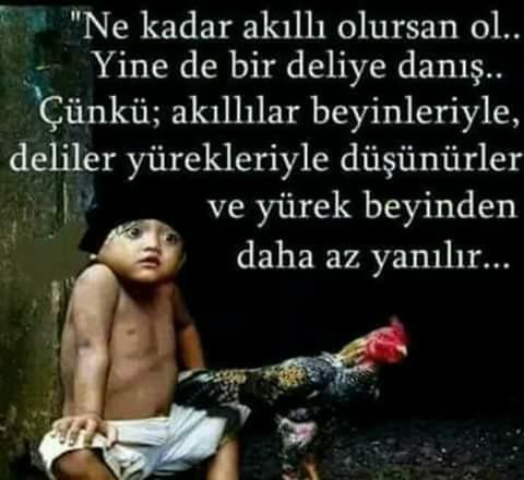 Bana deli diyenlere ne yapmam lazım?