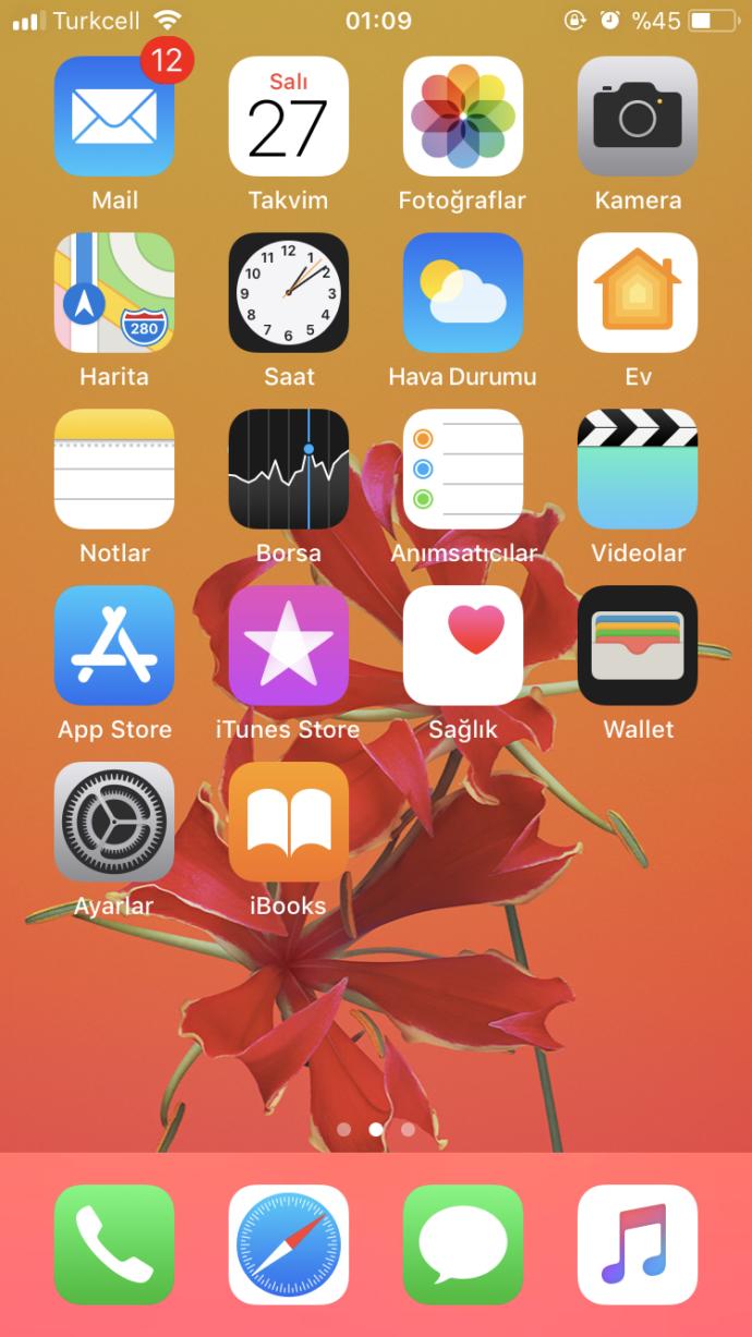 Telefon ekran resminizde ne var atında görelim?