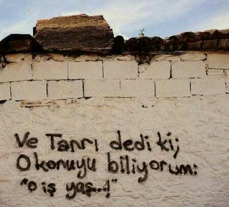 Herkes bir Duvar yazısı paylaşabilir mi?