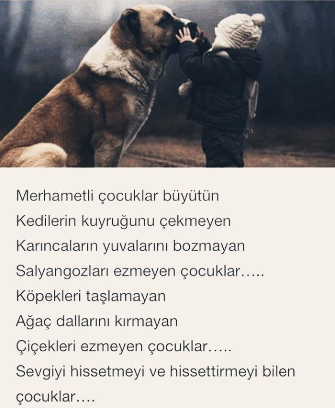 Çocuğunuza ilk öğretmek istediğiniz şey nedir?