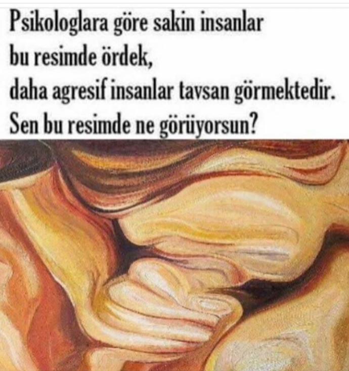Bu resimde ne görüyorsunuz?