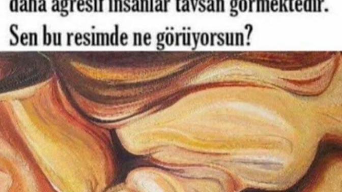 Bu resimde ne görüyorsunuz?