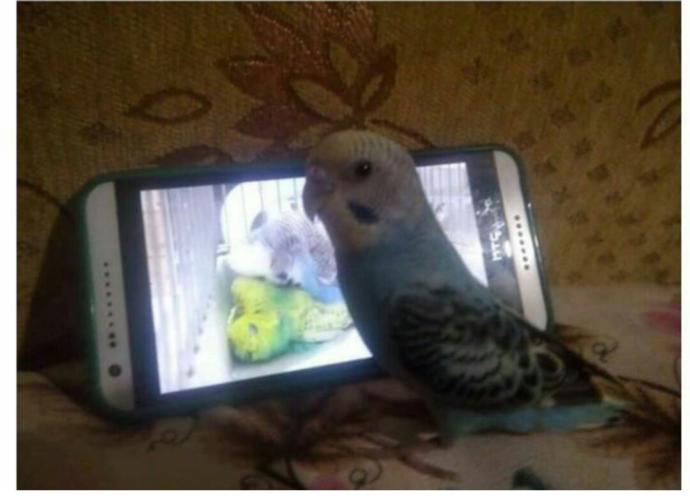 Yan gözle bakmak ne demek?
