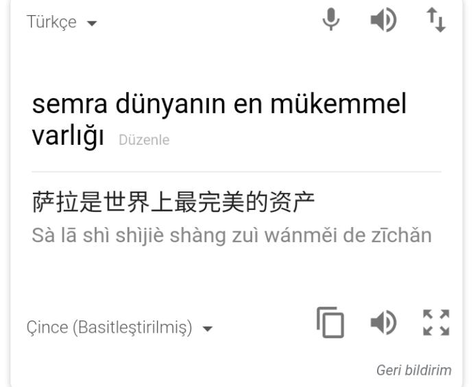 Yaşamak mı zor çince mi?