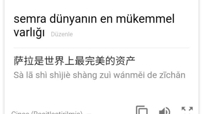 Yaşamak mı zor çince mi?