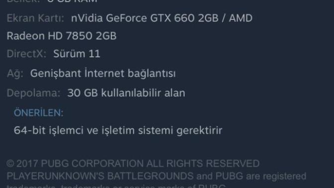 Bu oyunu kaldırır mı (Pubg)?