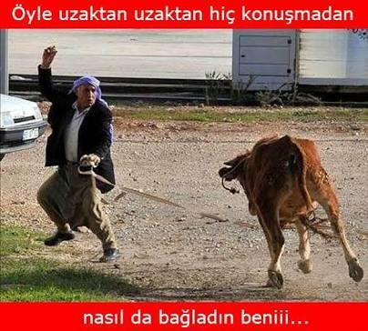 Bağlanma sorunu?