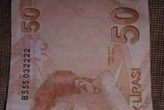 Bir kızdan hoslandım ve bakın başıma ne geldi?
