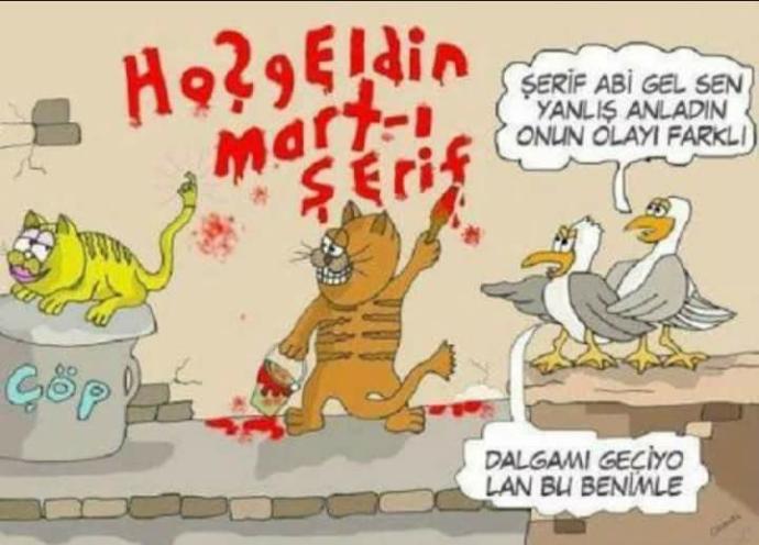 Kediler neden Mart ayında çiftleşir?