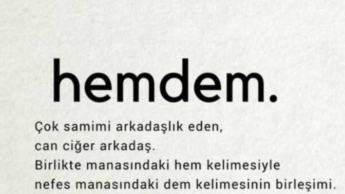 Burada hemdem olduğunuz biri  ya da  birileri varmı?