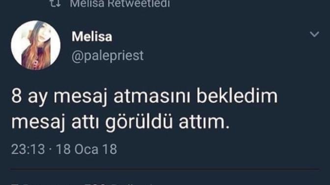 Mesaja görüldü atmak çok havalı değil mi?