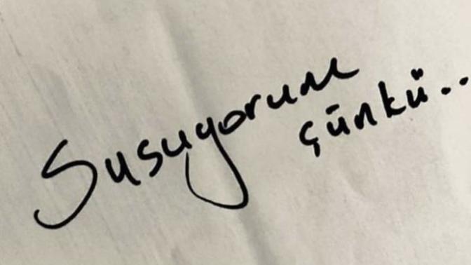 Susuyorum cünkü... 

Cümleyi tamamlayin neden susuyorsunuz?