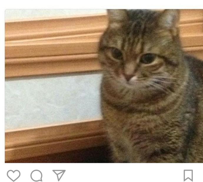 En büyük derdiniz nedir ? 