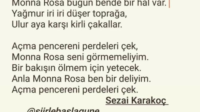 Mona roza şiiri güzel mi sizce?