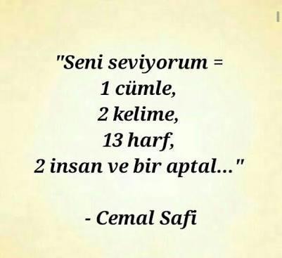 “Aşk bir insanın yapabileceği en büyük aptallıktır.” sizce aşk gerçekten aptallık mıdır? Değilse nedir?