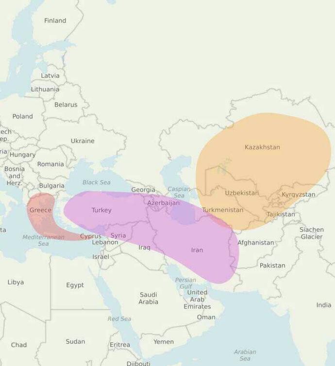 DNA testi ile kökenlerinizi öğrenmeye ne dersiniz??