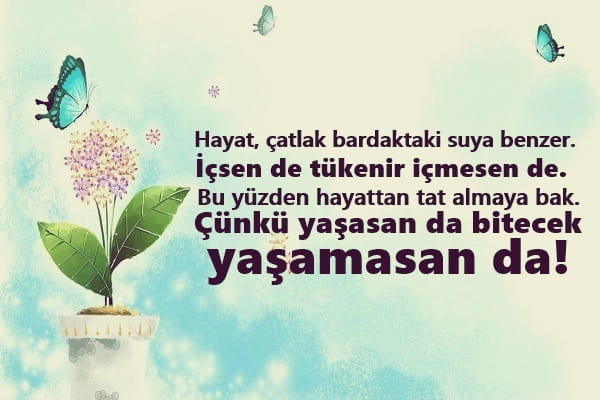 Hayattan zevk almayı bilenler denmisiniz yoksa umudu kesenlerden mi ?