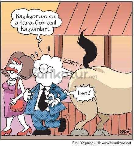Atları çok seviyorum ama at binmeye korkuyorum nasıl yapabilirim?