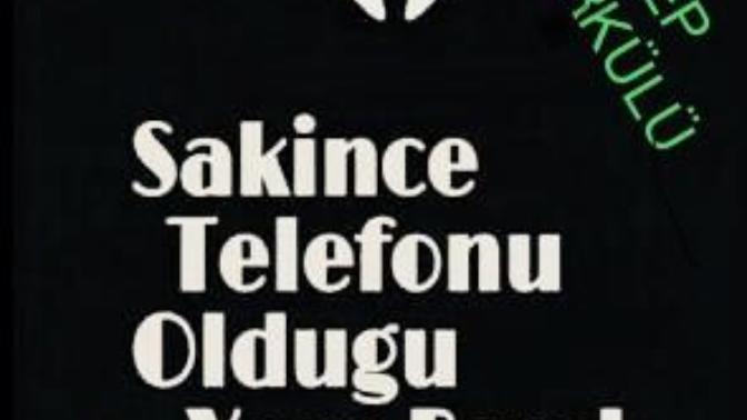 Sizce Duvar Kagıdı İçin Mantıklımı🤔🤔?
