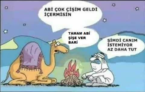 Deve sidiği mevzusunu bilmeyenler?