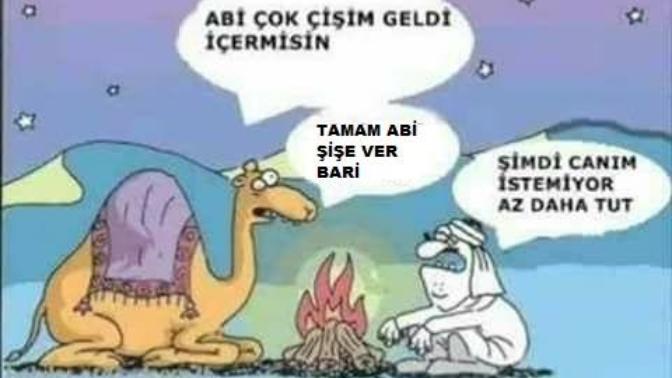 Deve sidiği mevzusunu bilmeyenler?