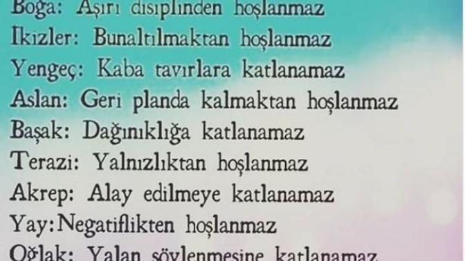 Nelerden hoşlanmazsınız?