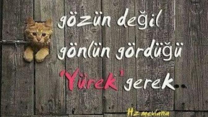 Eğer siz durumun farkında olup ve sevdiğinizin kalbini okşayan sözler söyleseniz 5-0 önde olacak bir sözünüz olsa ne söylerdin?