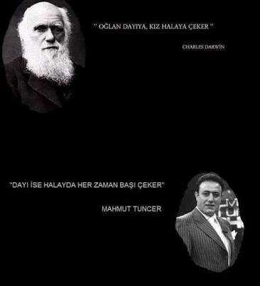 Bu ünlü düşünürlerden hangisi haklı??