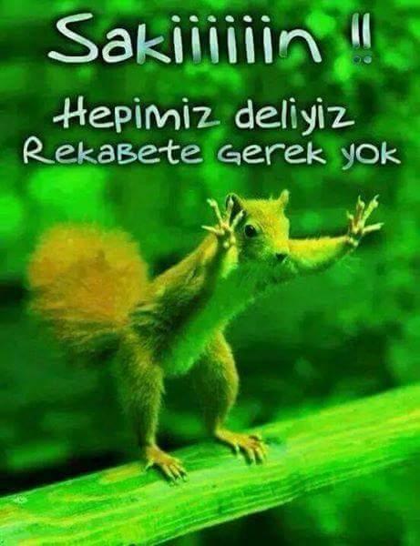 Ben Akıllanmam Siz Delirin Gelin Yanıma, desem kimler hoşgeldin der bana😄??