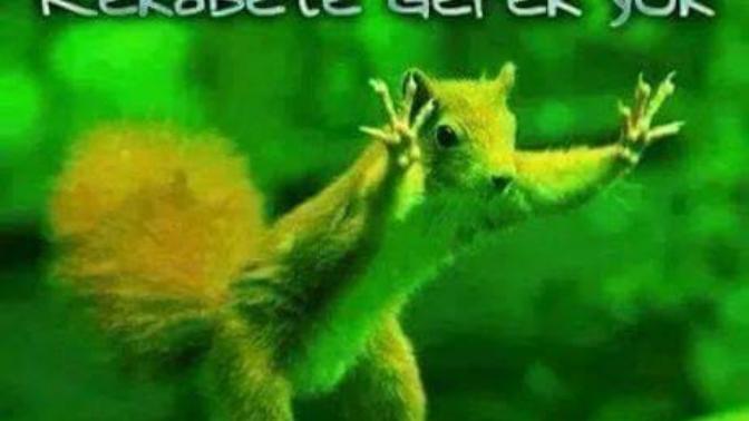 Ben Akıllanmam Siz Delirin Gelin Yanıma, desem kimler hoşgeldin der bana😄?