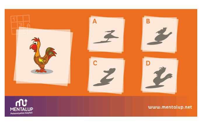 Büyük resimde gördüğünüz dostumuzun gölgesi hangisidir ??