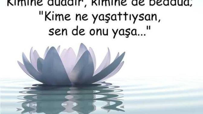 Hiç Beddua Ettiniz Mi? Kime Kimlere Ettiniz? Tutanlar Oldu Mu?