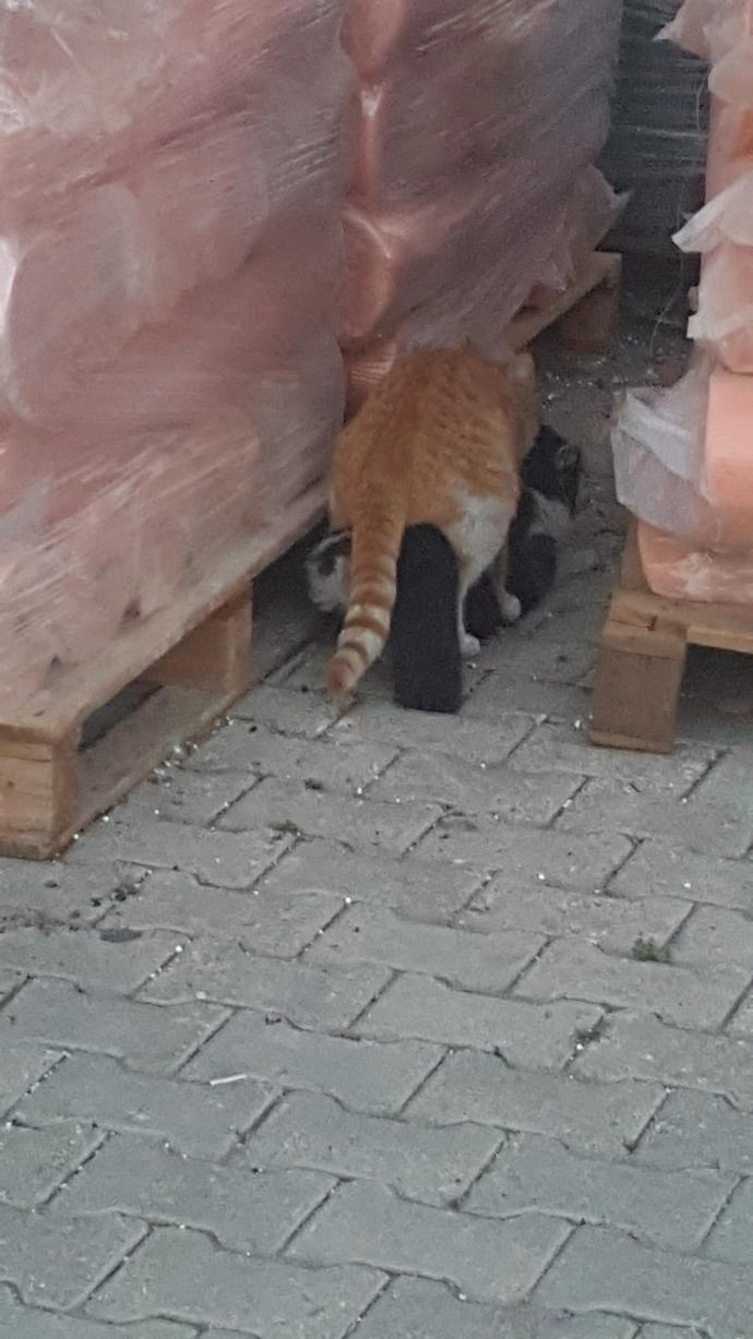 Mart ayının anlamı nedir sizin için?