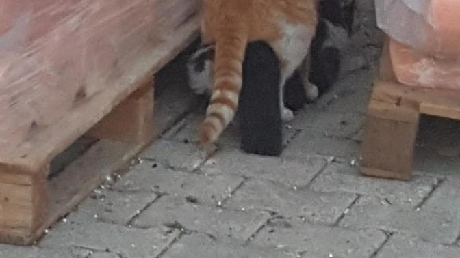  Mart  ayının anlamı nedir sizin için?