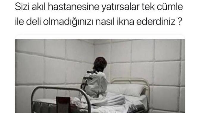 Sizi akıl hastanesine yatırsalar tek cümle ile deli olmadığınıza nasıl ikna edersiniz?