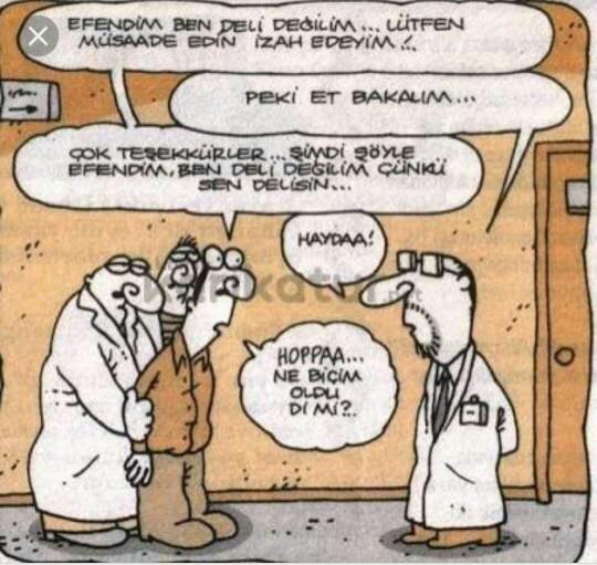 Sizi akıl hastanesine yatırsalardı deli olmadığınızı  bir  cümle ile nasıl ispat ederdiniz?