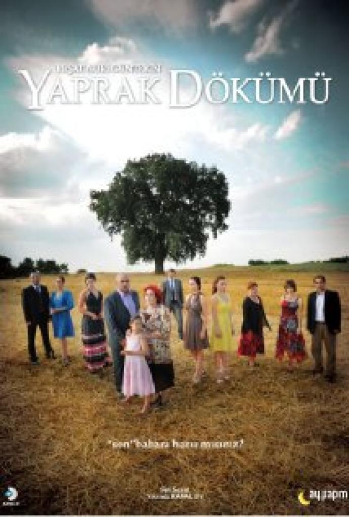 Türk dizi tarihinin en iyi yapımlarını yapan Ay Yapım'ın en sevdiğiniz dizisi hangisi?