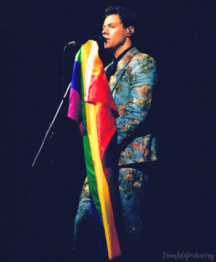 Harry Styles 'ın biseksüel olmasıyla ilgili ne düşüyorsunuz? 