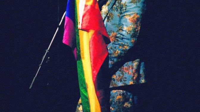 Harry Styles 'ın biseksüel olmasıyla ilgili ne düşüyorsunuz?