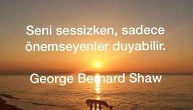Sözlerinden anlamayan sessizliğinden anlar mı?