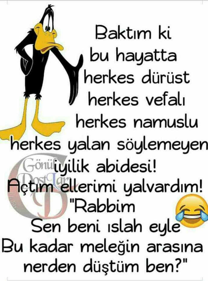 😊Bu kadar Meleğin arasına nereden düştüm ben diyenler var mı??